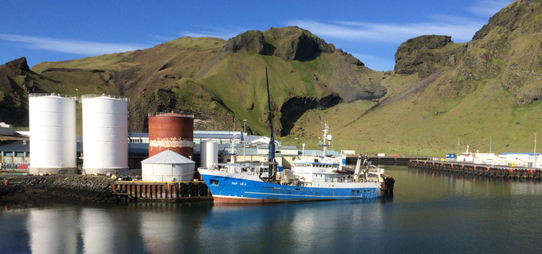 Este Estudio Sobre El An Lisis De Ciclo De Vida De Aceite De Pescado