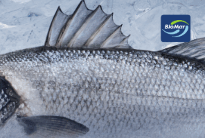 BioMar - Seabass - EFICO MAXIO - ES