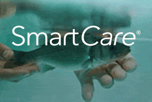 biomar-2025-10-ES_SmartCare-Ad-296x200px