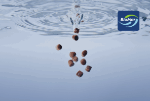 BioMar Grower Pellets Efico Maxio